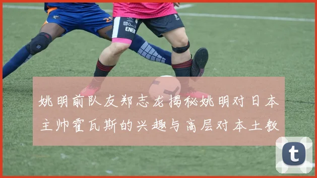 姚明前队友郑志龙揭秘姚明对日本主帅霍瓦斯的兴趣与高层对本土教练的偏好