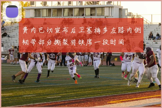 费内巴切宣布后卫塞梅多左膝内侧韧带部分撕裂将缺席一段时间