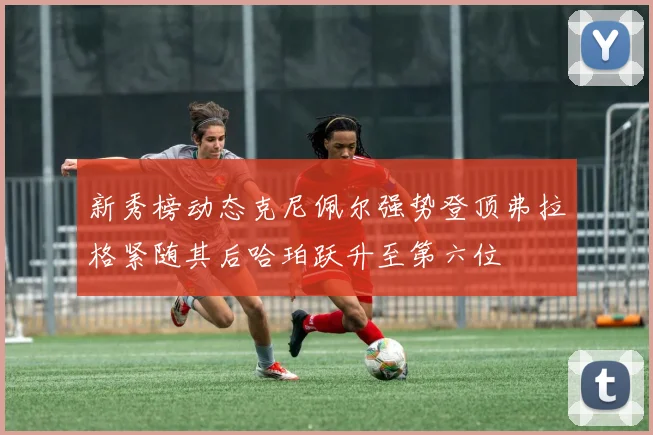 新秀榜动态克尼佩尔强势登顶弗拉格紧随其后哈珀跃升至第六位