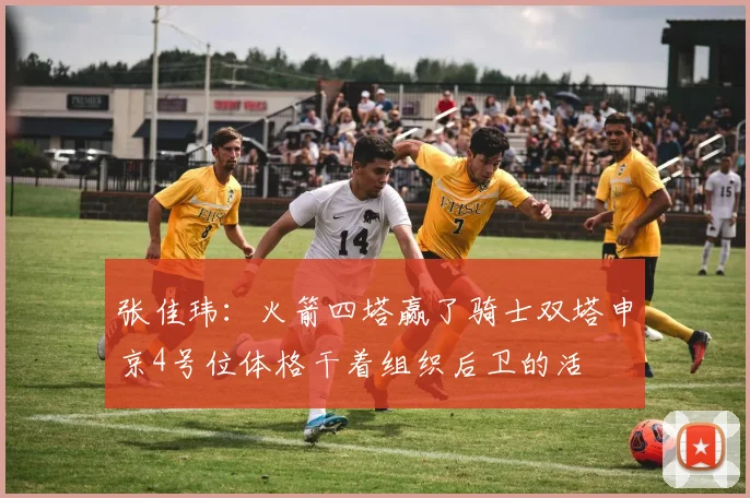 张佳玮：火箭四塔赢了骑士双塔申京4号位体格干着组织后卫的活