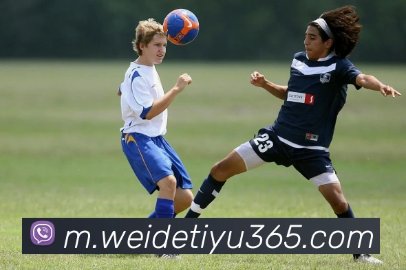 伟德体育品牌故事