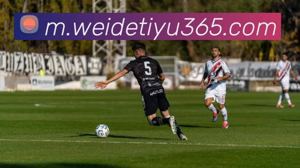 伟德体育服务体系